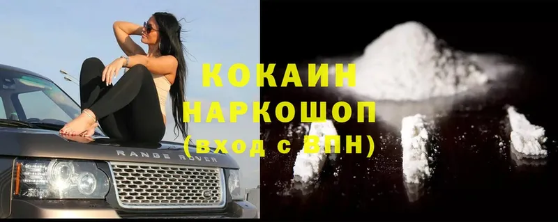 Cocaine Fish Scale  ссылка на мегу как зайти  Черногорск  где найти наркотики 